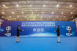 2019川貨電商節(jié)暨電子商務(wù)發(fā)展峰會(huì) 以技術(shù)開(kāi)發(fā)為引擎，推動(dòng)川貨走向世界